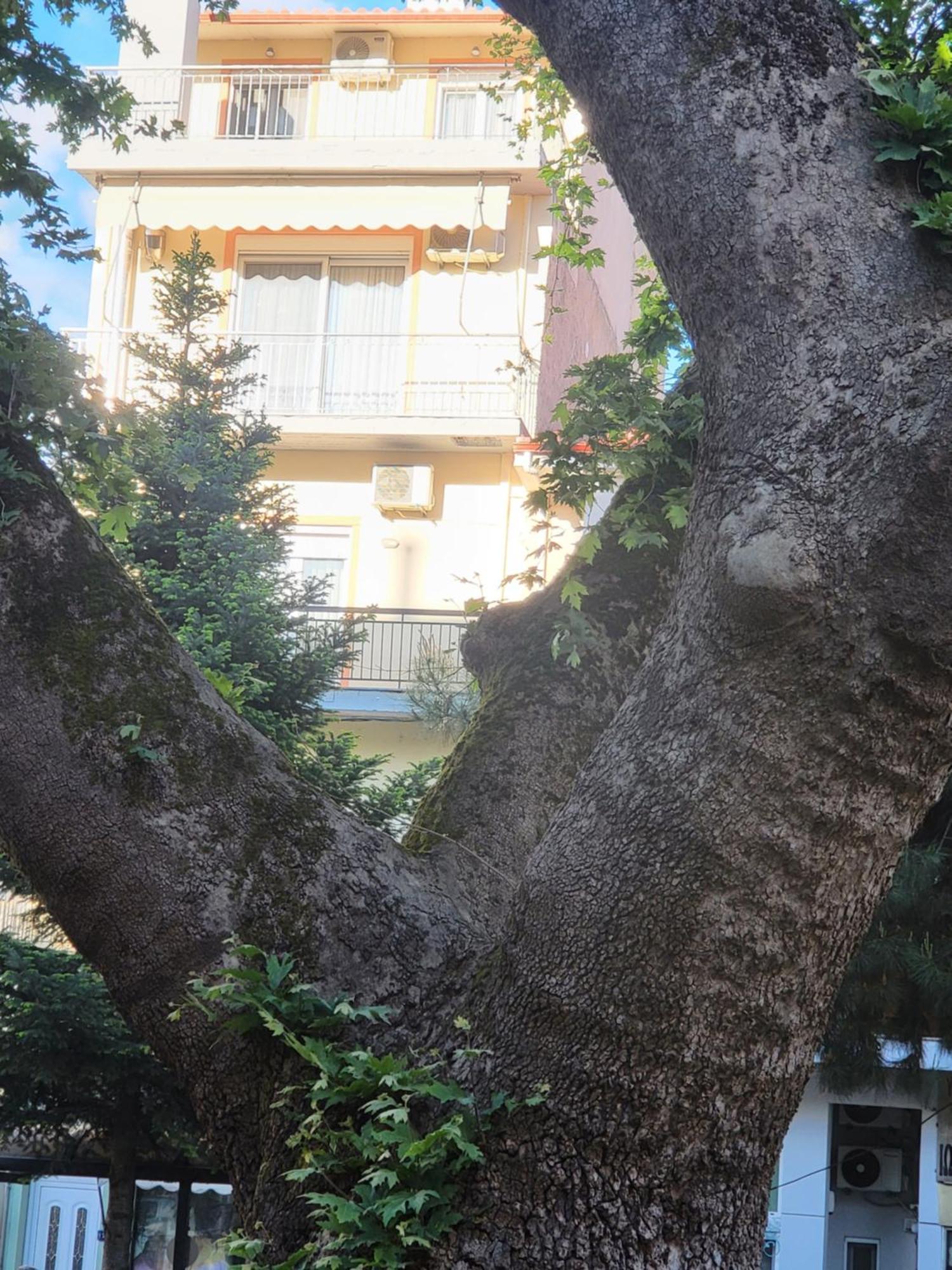 Platanakia Apartment